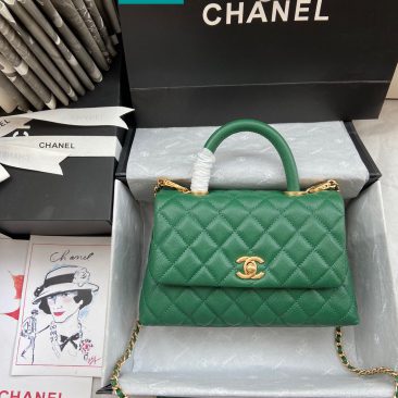 Túi xách Chanel Coco Handle Small (1)