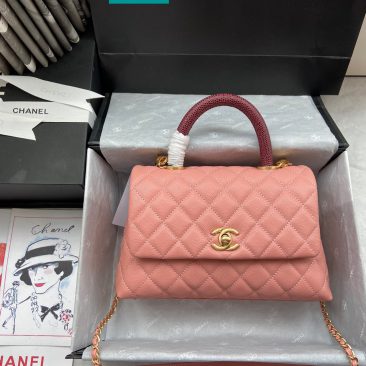 Túi xách Chanel Coco Handle Small (91)
