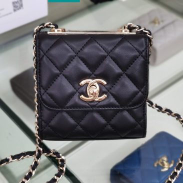 Túi xách Chanel Small Trendy CC (1)