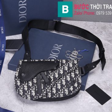 Túi xách Dior Saddle Bag (1)