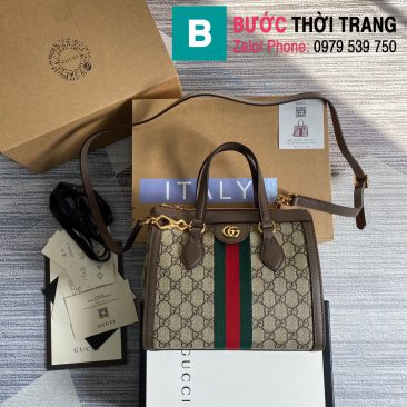 Túi xách Gucci Ophidia small GG tote bag (1)