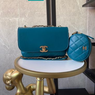 Túi xách Chanel Flap Bag with Coin Purse (1) -