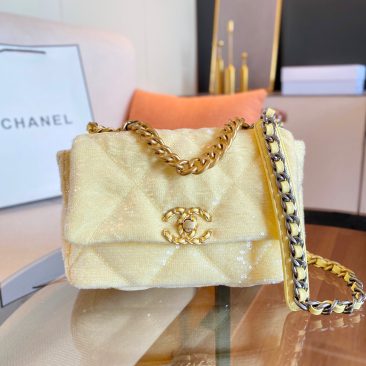 Túi xách Chanel 19 flap bag (1)