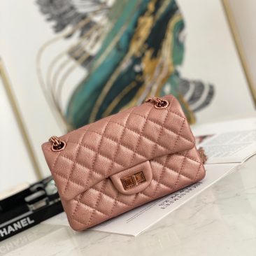 Túi xách Chanel Mini 2.55 Handbag (1)